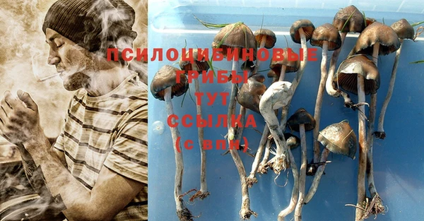 марки lsd Новосибирск