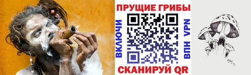 MEGA ONION  закладка  Славгород  Галлюциногенные грибы GOLDEN TEACHER 