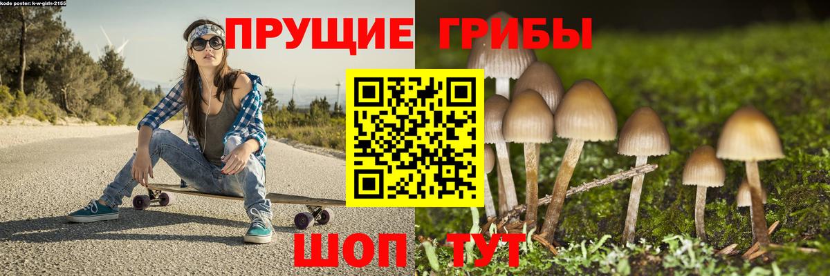 Славгород  Псилоцибиновые грибы MAGIC MUSHROOMS  Вход с VPN  цена   Галлюциногенные грибы Psilocybine cubensis 