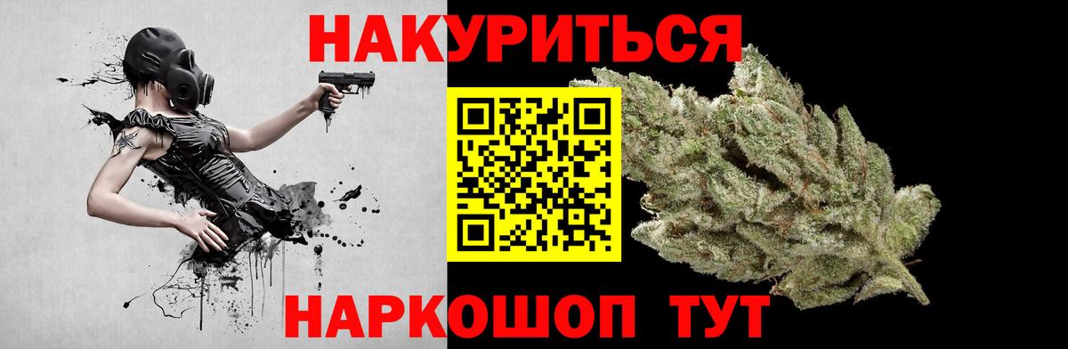 Бошки Шишки план  Каннабис планчик  Славгород  Вход с VPN  Конопля марихуана 